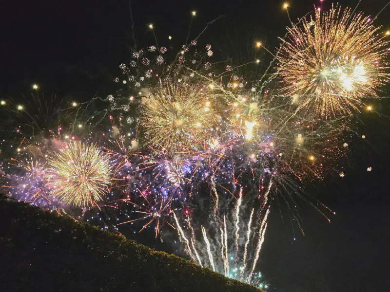 Dichtes goldenes Feuerwerk über der Hecke