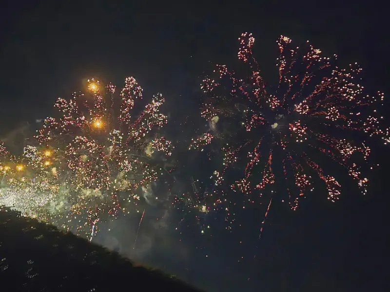 Rote und goldene Feuerwerksblüten am Himmel