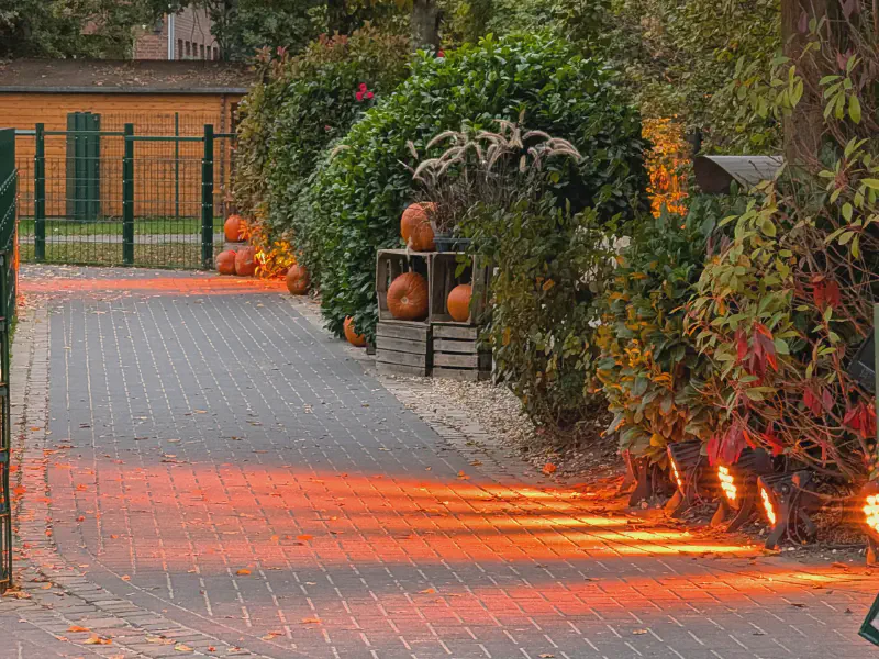 Illuminated Walkway with Pumpkin Decoration