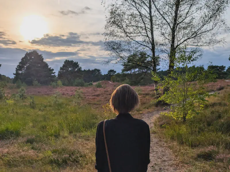 Gina looking out over the heath in the evening sun