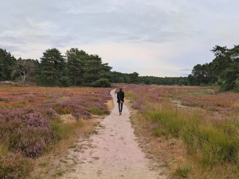 Gina in the vast heath