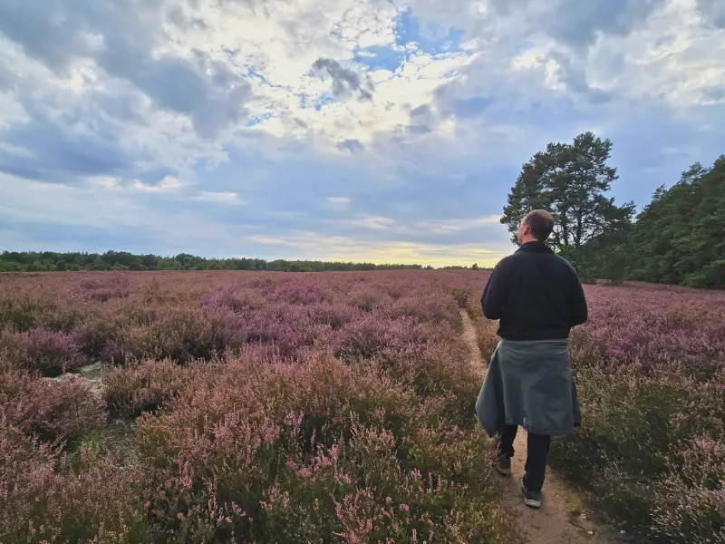 Oli blickt über die weite Heide