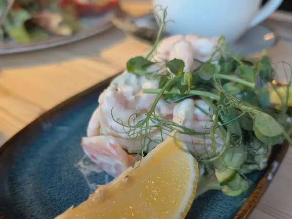 Shrimp cocktail salad with avocado - very tasty