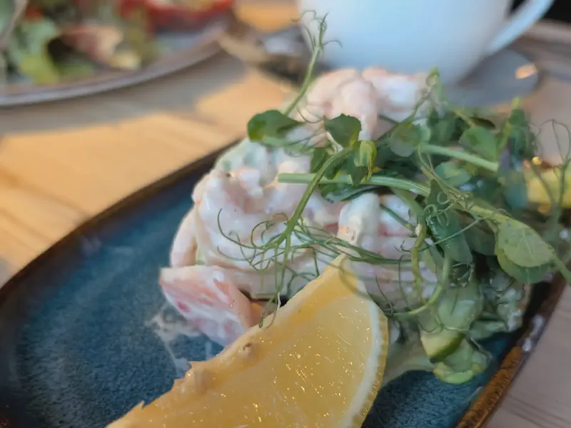 Shrimp cocktail salad with avocado - very tasty