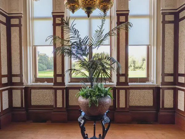 Even the plants have room to breathe here