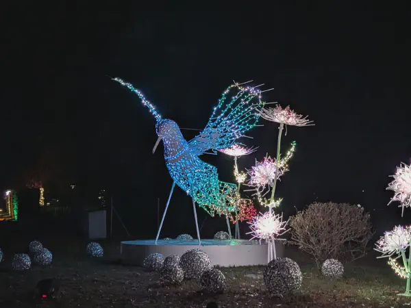 A bird next to light flowers