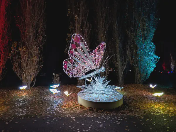 A butterfly on a light pedestal