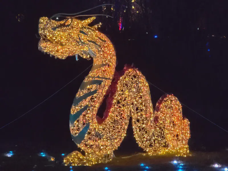 A dragon