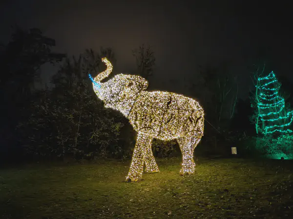 Figure of an elephant