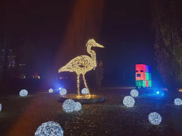 Large bird surrounded by light orbs