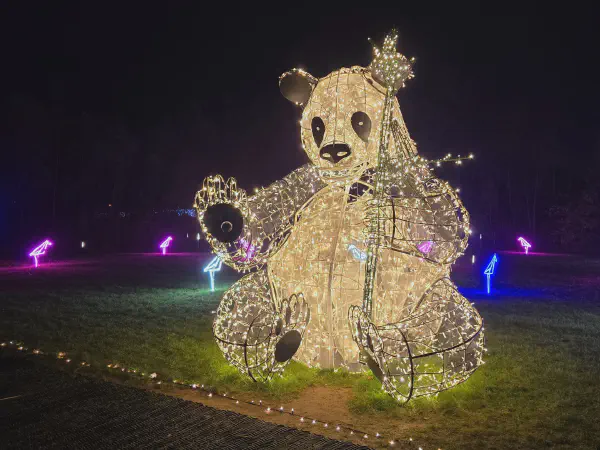 A panda sitting with bamboo