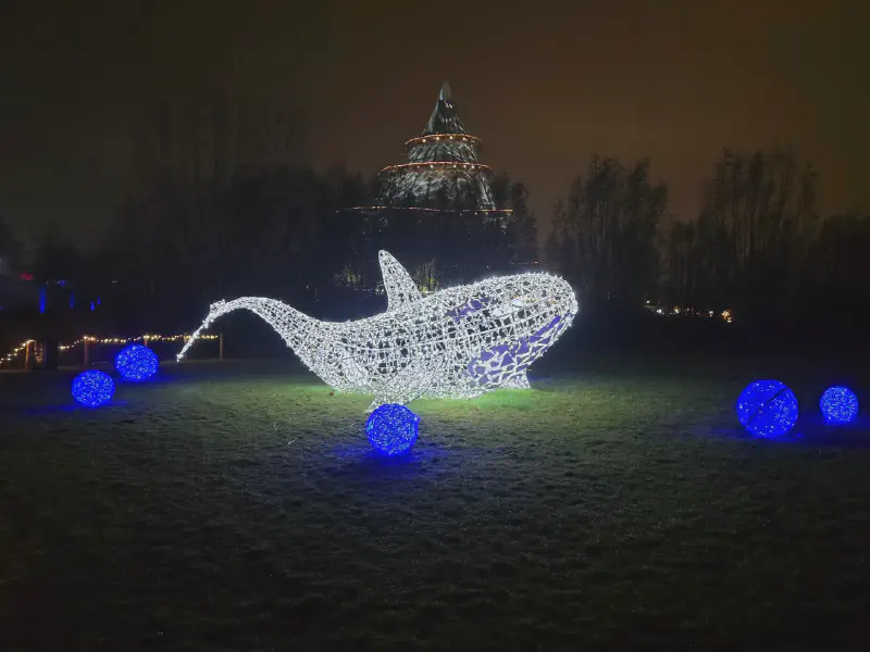 A whale on the meadow