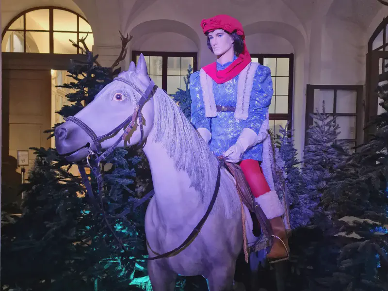 A rider on a horse