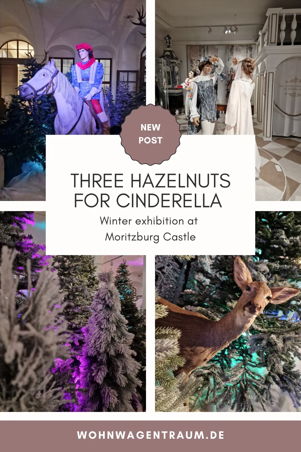 Three Hazelnuts for Cinderella at Moritzburg Castle